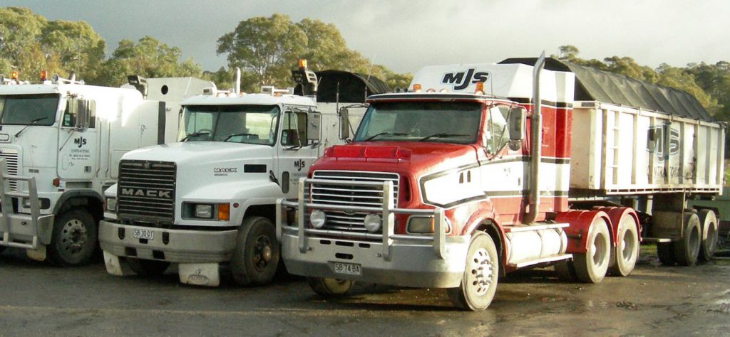 Tree Removal Adelaide Hills